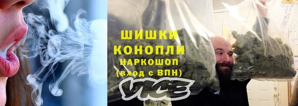 индика Краснослободск