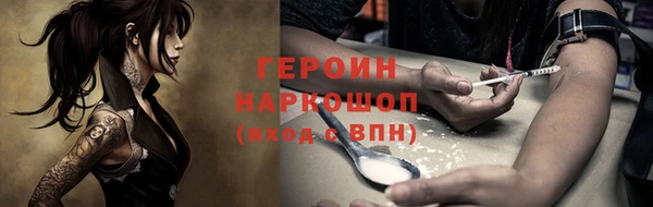 индика Краснослободск
