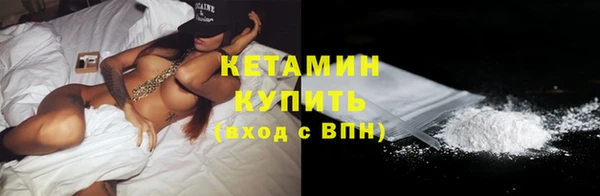 индика Краснослободск
