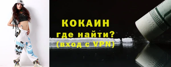 индика Краснослободск