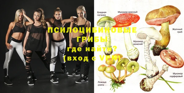 ПСИЛОЦИБИНОВЫЕ ГРИБЫ Красноперекопск