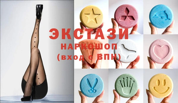 индика Краснослободск