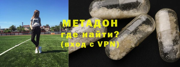 индика Краснослободск
